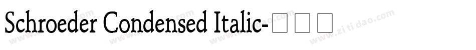 Schroeder Condensed Italic字体转换